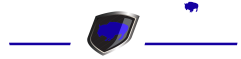 cropped wnyprint site logo newblue.png